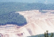 Talana karşı dava: Yerin üstü 'altın'dan değerlidir