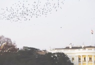 Taliban'a yönelik yaptırımların gevşemesi gündeme gelmedi