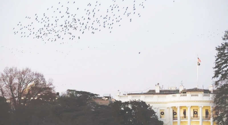 Taliban'a yönelik yaptırımların gevşemesi gündeme gelmedi