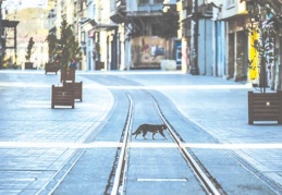 Tam kapanmanın ardından normalleşme nasıl olacak?