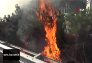 Tanker otoyolda yandı, alevler ağaçlık alana sıçradı