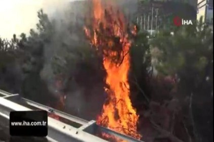 Tanker otoyolda yandı, alevler ağaçlık alana sıçradı