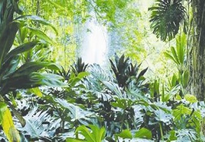 Tanrının bir hikmeti olmalı!