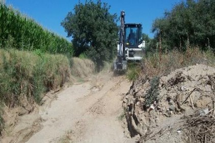 Tarım arazileri alternatif yatırım aracına dönüşüyor