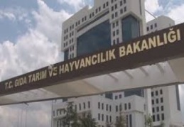 Tarım Bakanlığı sınav yapmadan veteriner hekim alabilecek