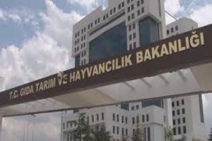 Tarım Bakanlığı sınav yapmadan veteriner hekim alabilecek