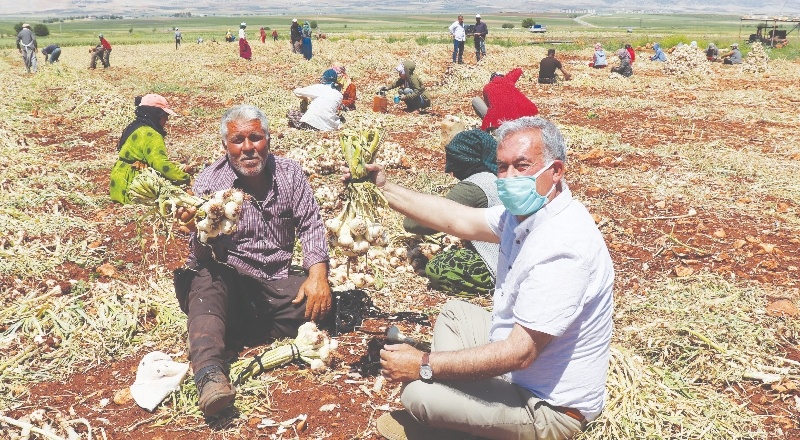 Tarım Bakanlığı, yine hayvan öldürtmek için ihale açtı