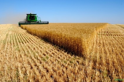 Tarım desteklerinin oranı yüzde 1&#8217;e yükseltilmeli