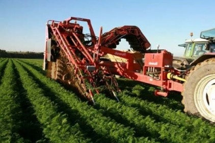 Tarım ihracatı 1.33 milyar dolara çıktı