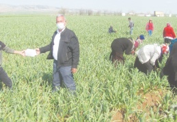 Tarım işçilerine ücretsiz maske dağıtıldı