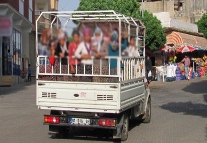 Tarım işçilerinin tehlikeli yolculuğu