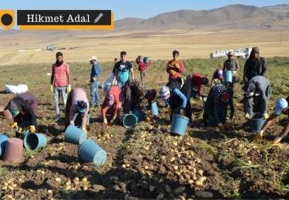 Tarım işçilerinin zorlu göçü başlıyor: Salgından nasıl korunacaklar?