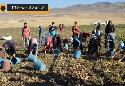 Tarım işçilerinin zorlu göçü başlıyor: Salgından nasıl korunacaklar?