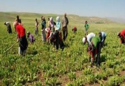 Tarım, işsizliği 2.2 puan düşürdü