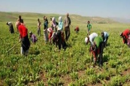 Tarım, işsizliği 2.2 puan düşürdü