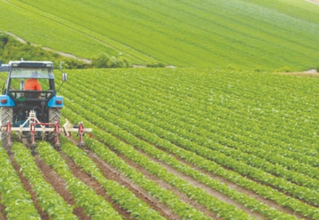 Tarım Kredi Kooperatiflerine borcunu ödeyemeyen 4 bin 145 çiftçi icralık