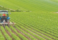 Tarım Kredi Kooperatiflerine borcunu ödeyemeyen 4 bin 145 çiftçi icralık