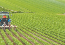 Tarım Kredi Kooperatiflerine borcunu ödeyemeyen 4 bin 145 çiftçi icralık
