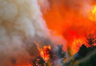 Tarım Orman-İş Başkanı Durmuş yangınların olası nedenlerini sıraladı