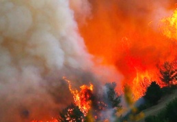 Tarım Orman-İş Başkanı Durmuş yangınların olası nedenlerini sıraladı