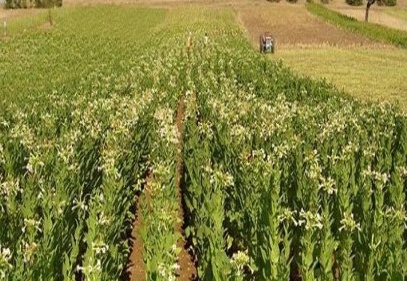 Tarım sektörü hak ettiği değeri görmüyor