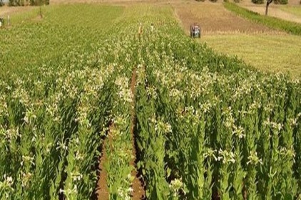 Tarım sektörü hak ettiği değeri görmüyor