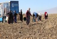 Tarım Sigortaları Havuzu Eksper eğitimi düzenlenecek 