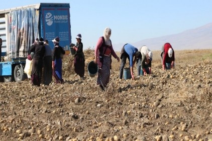 Tarım Sigortaları Havuzu Eksper eğitimi düzenlenecek 