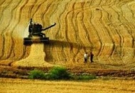Tarım ÜFE Aralık ayında yüzde 1.30 azaldı