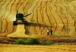 Tarım ÜFE Aralık ayında yüzde 1.30 azaldı