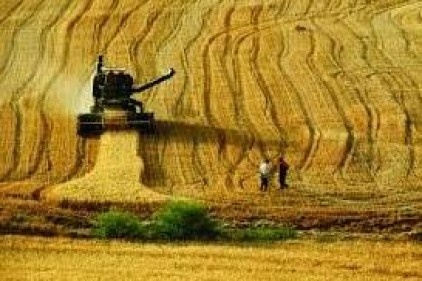 Tarım ÜFE Aralık ayında yüzde 1.30 azaldı