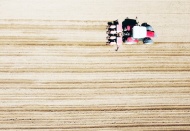 Tarım ÜFE haziranda yıllık bazda yüzde 148,9'a yükseldi