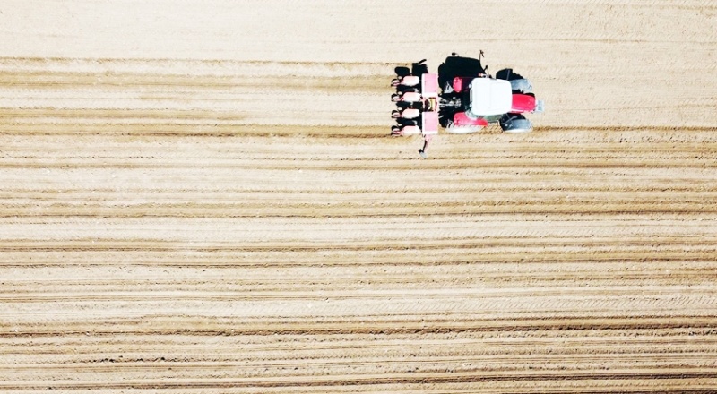 Tarım ÜFE haziranda yıllık bazda yüzde 148,9'a yükseldi