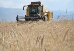 Tarım-ÜFE, yüzde 19,69 arttı