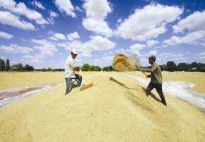 Tarım ürünleri ihracatı arttı