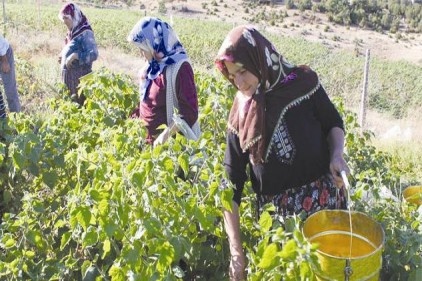 &#8220;Tarım ürünleri ihracatı, bu dönemde yüzde 8,74 artışla 18,9 milyar doları aştı&#8221;