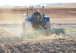 Tarım ürünleri üretici fiyatlarında artış son 20 ayın zirvesine ulaştı