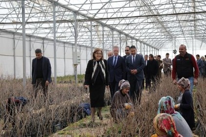 Tarım ve Gastronomi Okulu&#8217;nun son hazırlıkları incelendi
