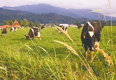 Tarım ve hayvancılığa makine ve ekipman desteği