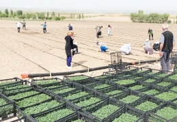 Tarım ve hayvancılıkta 2020’de verilecek destekleme miktarları belirlendi