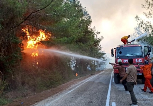 Tarım ve orman alanlarında düzenlemeleri içeren kanun teklifi TBMM'de