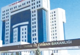 Tarım ve Orman Bakanlığı'nın 2020'deki yolluk ve temsil giderleri 91 milyon