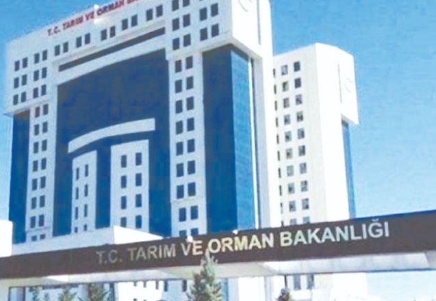 Tarım ve Orman Bakanlığı'nın 2020'deki yolluk ve temsil giderleri 91 milyon