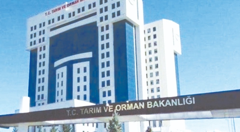 Tarım ve Orman Bakanlığı'nın 2020'deki yolluk ve temsil giderleri 91 milyon