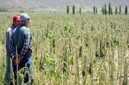 &#8220;Tarım, yüzde 11,4 olan işsizliği 2,1 puan düşürerek yüzde 9,3&#8217;e çekti&#8221;