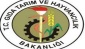 Tarımda 2023 hedefi 150 milyar dolara çıkmak