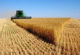 Tarımda çalışan erkeklere en düşüş ücret Antep’te ödeniyor