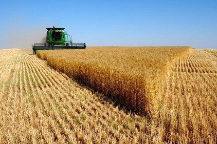 Tarımda çalışan erkeklere en düşüş ücret Antep&#8217;te ödeniyor