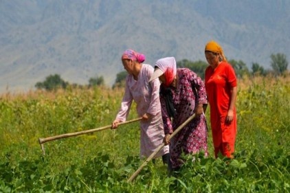 Tarımda çalışanların yüzde 45,2&#8217;si kadın