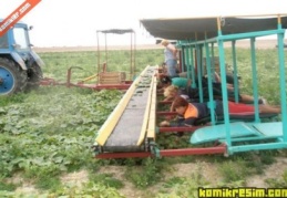 Tarımda fazla ihracat olanağı her zaman var